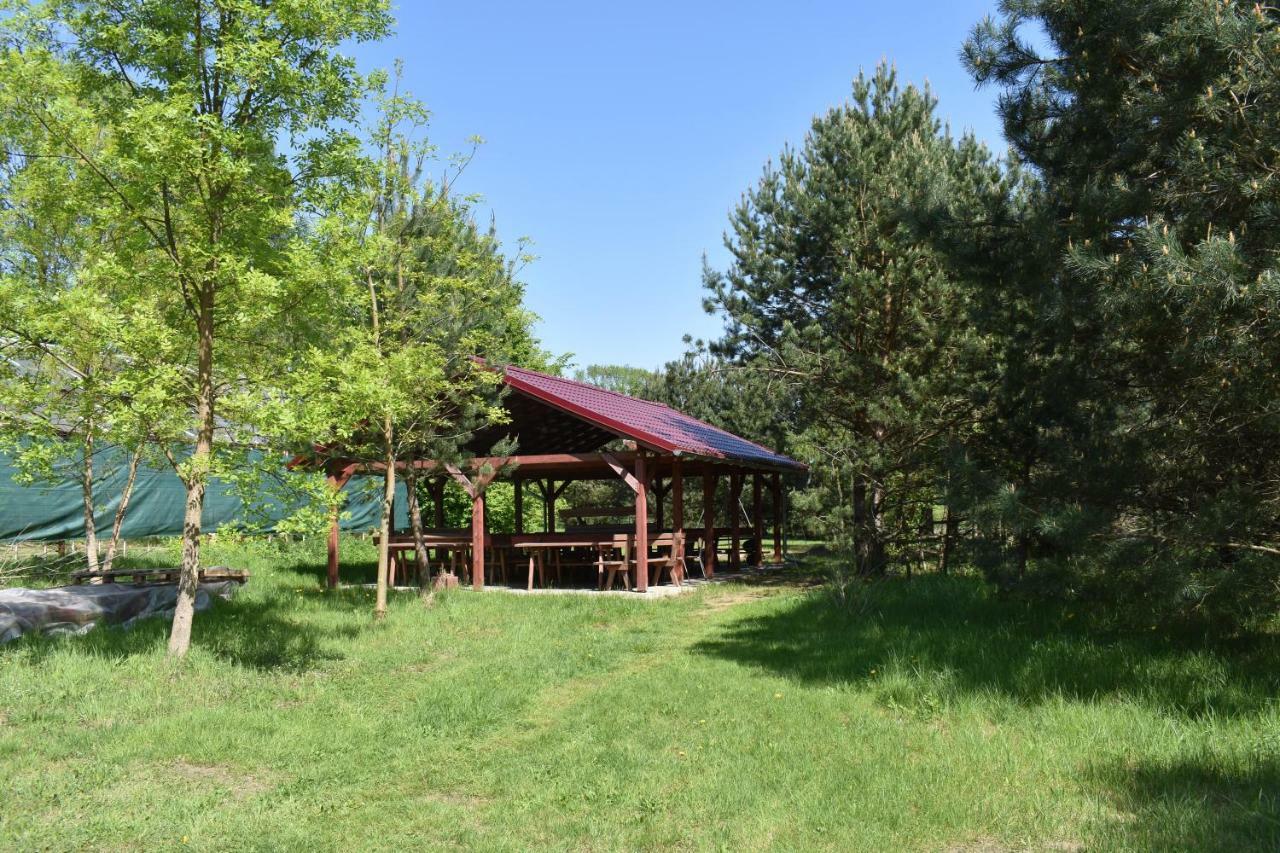 Newland Wojtowicz Farm stay